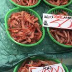 魚市場での鮮魚包装紙です