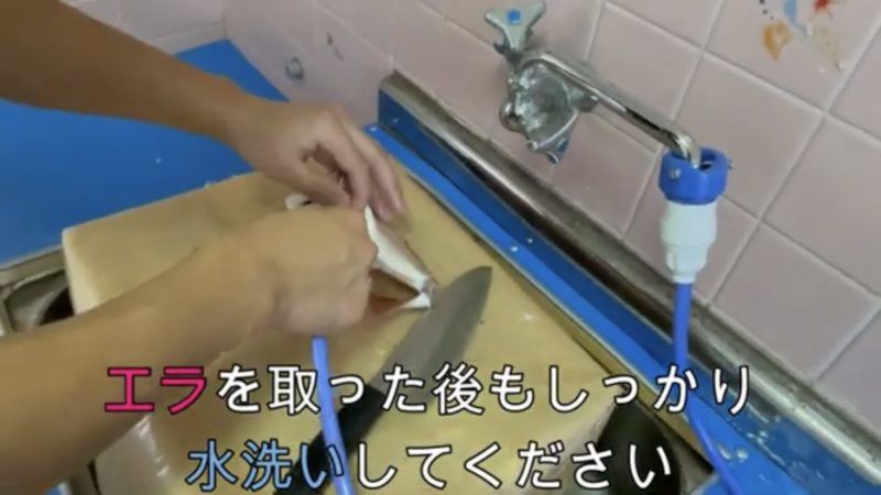 鯛を洗う