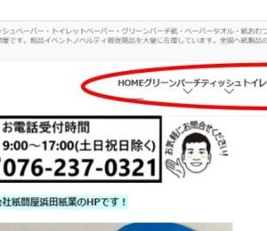 LiteSpeed Cache不具合