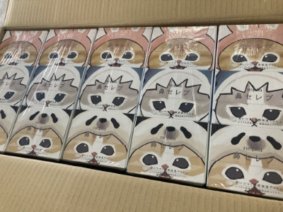 モフサンドの鼻セレブティッシュ